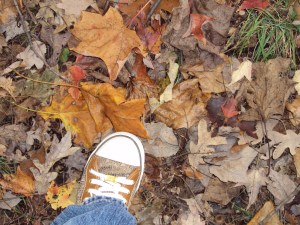 Leaves and my sneaker