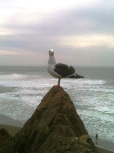 Perhaps the trick is to simply sit on a rock and be.