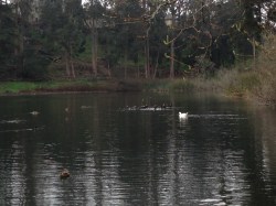 Back to placid waters