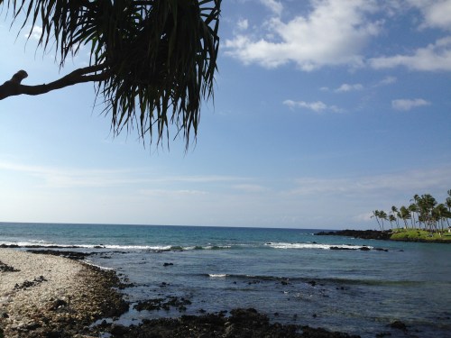 Island State of Mind: Kohala Coast